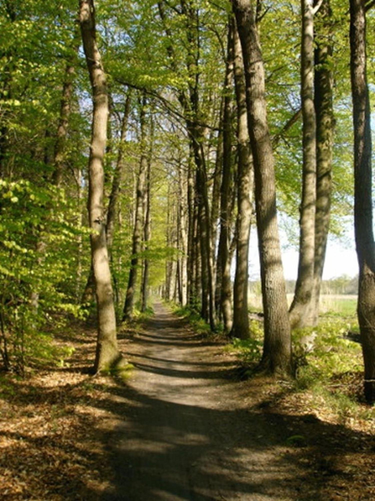 Ammerlaender Ferienwohnung Westerstede Extérieur photo